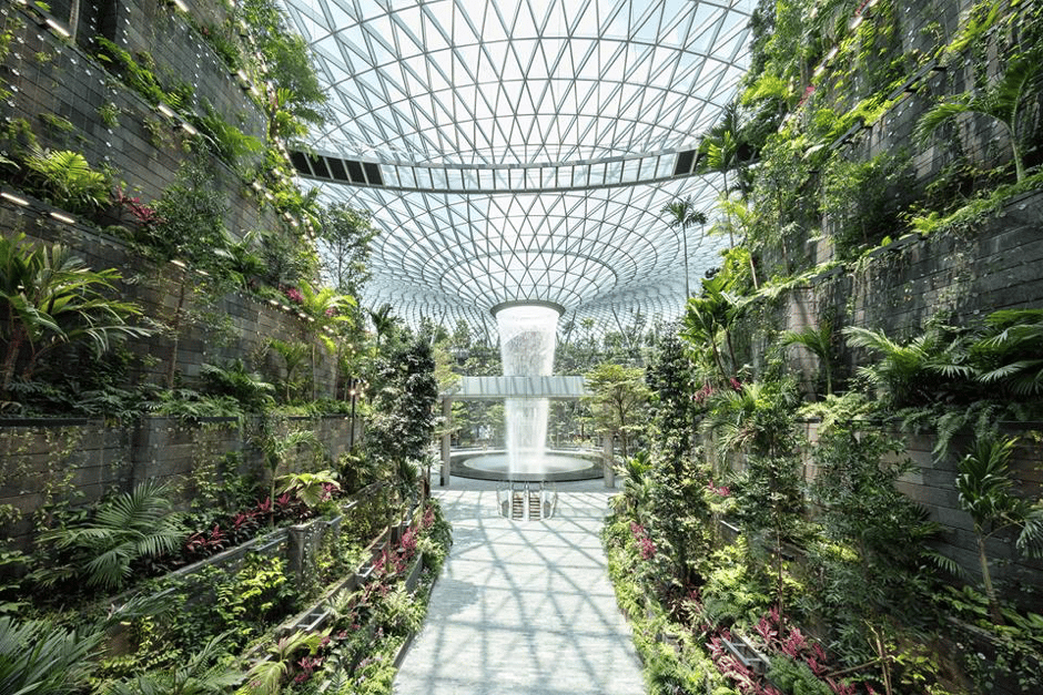 singapore airport indoor rainforest        <h3 class=