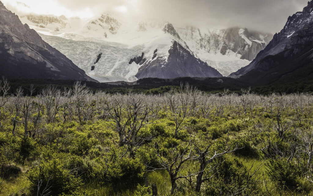 patagonia