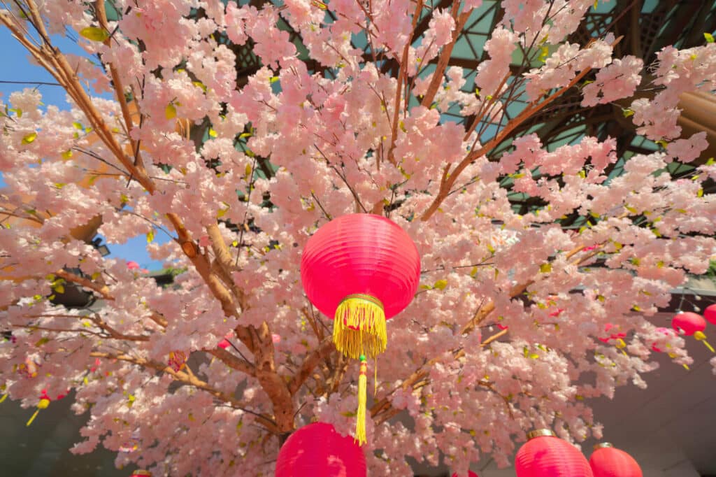 Cherry Blossom Festival