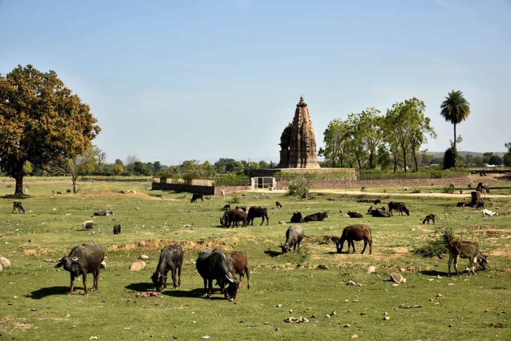 Madhya Pradesh