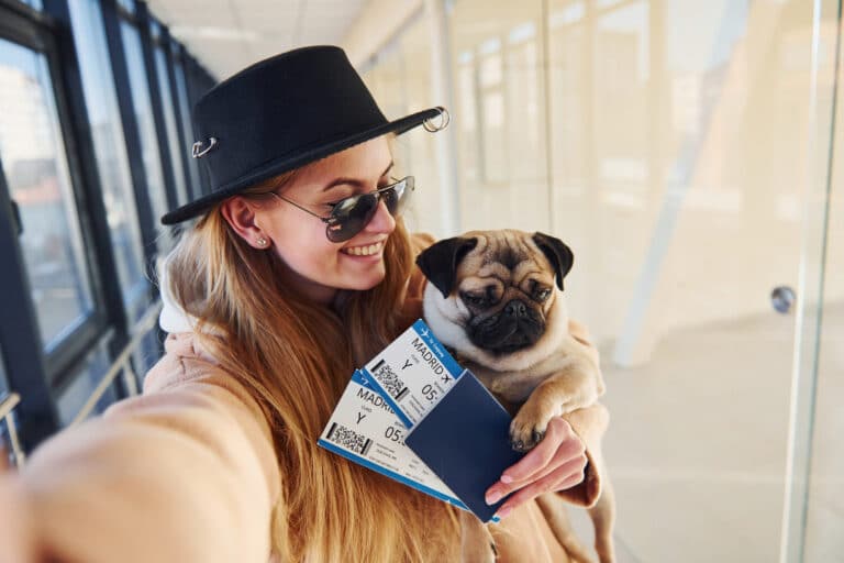 Flying with pets on european airlines