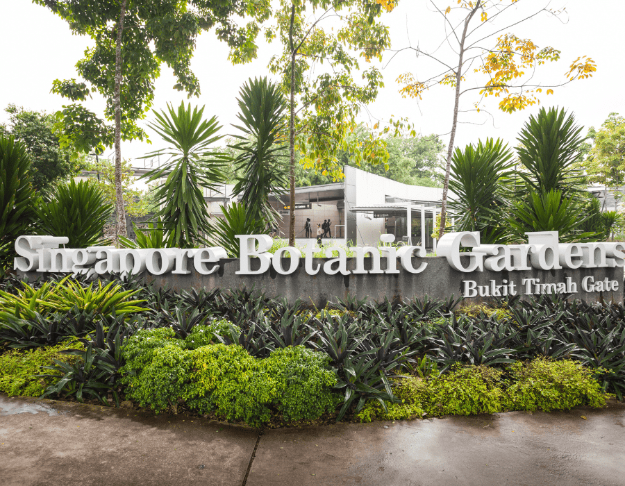 things to do in singapore botanic gardens