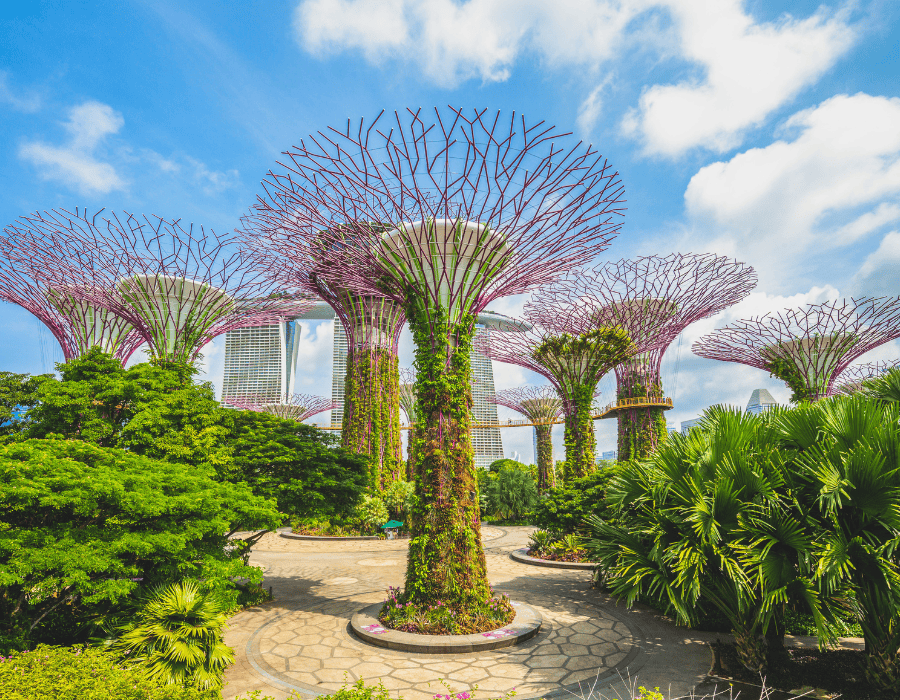 things to do in singapore