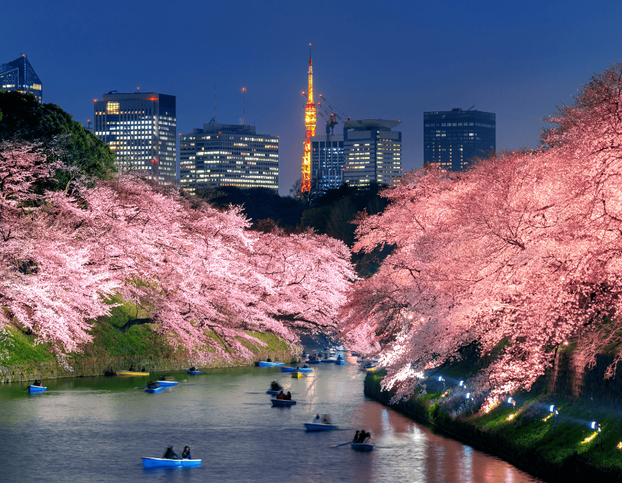 japan obon healthcare tips