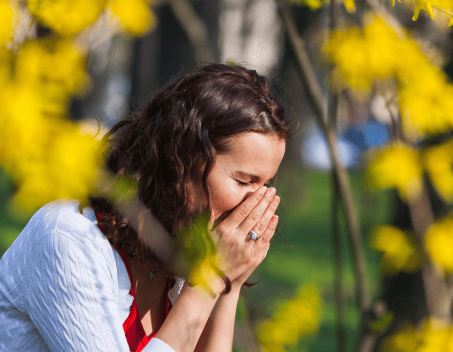 common travel illnesses in europe and north america
