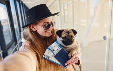 Flying with pets on european airlines